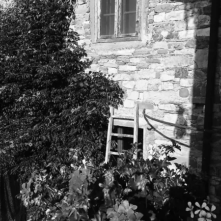 Podere Terreno Via Della Volpaia Vakantieboerderij Radda in Chianti