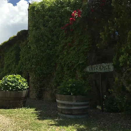 Farma Podere Terreno Via Della Volpaia *