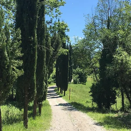 Podere Terreno Via Della Volpaia * Рада ин Шанти