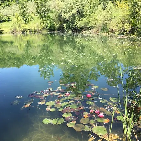 Farma Podere Terreno Via Della Volpaia