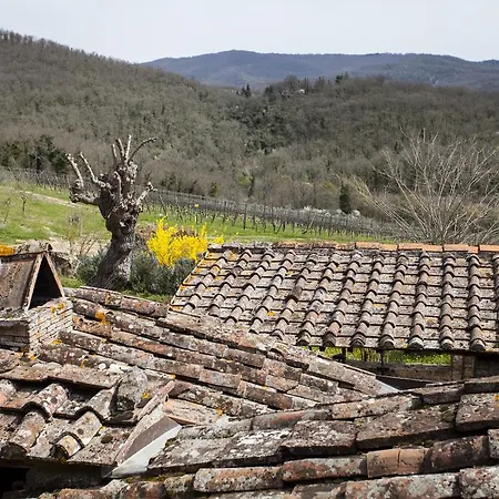 Podere Terreno Via Della Volpaia Farma Radda in Chianti