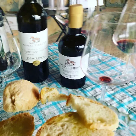 Podere Terreno Via Della Volpaia